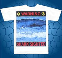 shark sighted